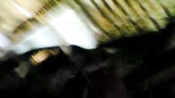 Bhabhi Homemade Fuck - Movies.