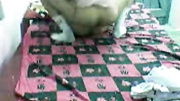 chutya he sala, itni mast chut ko choda nhi