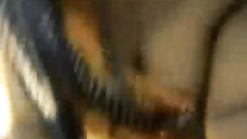 Desi Wife Saree Stripping - Movies.