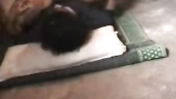 Uzma bhabhi from Lucknow, India sucking her mans cock seducing him off until he throw his hot cum on her sweet sexy face