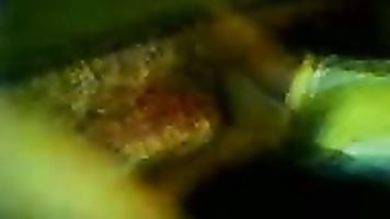 Indian GF fucked in her hairy pussy.