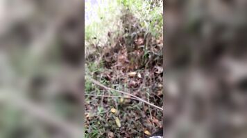 Risky jungle sex -horny sexy girl fuck with stranger